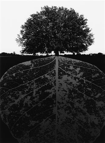 JERRY UELSMANN (1934- ) Jerry N. Uelsmann Portfolio.